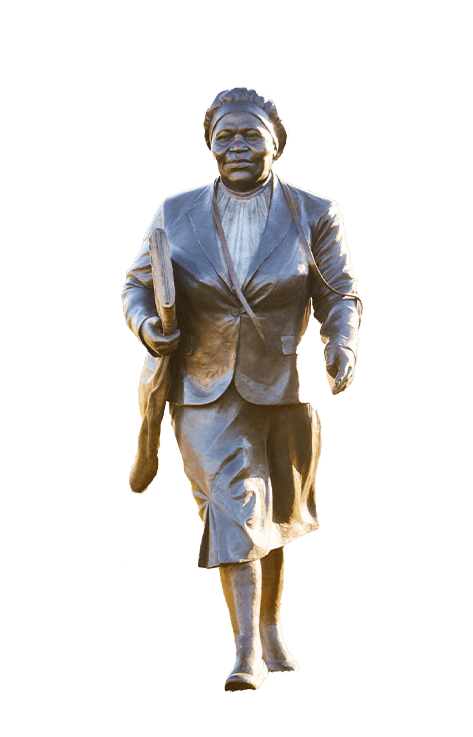 Statue-image