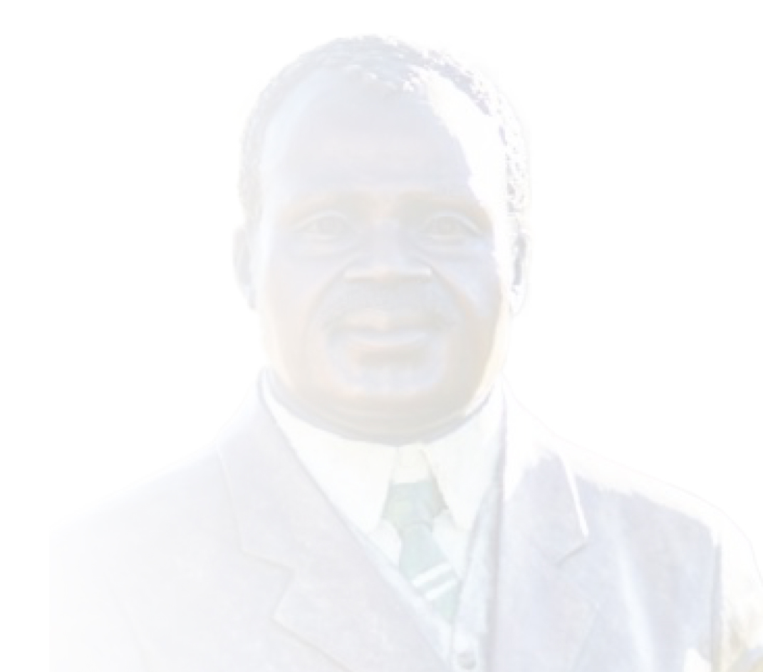 Josiah Gumede Background