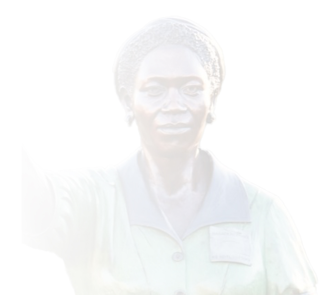 Lilian Ngoyi Background