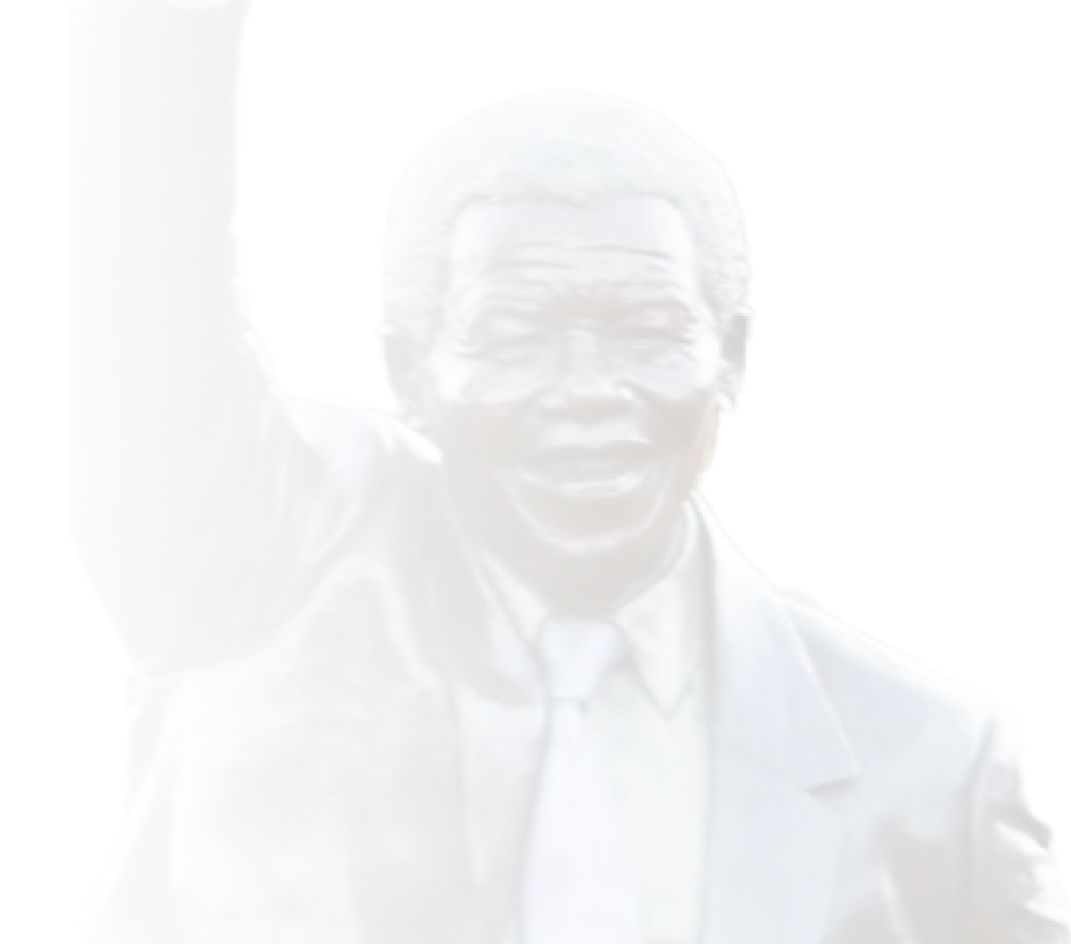 Nelson Mandela Background